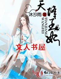天降王妃TXT全集封面