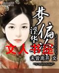 浮华之梦偏冷TXT全集封面