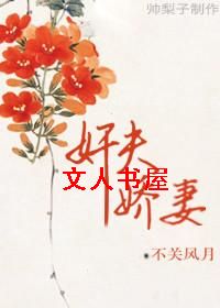 奸夫娇妻TXT全集封面