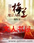 梅兰魔法大陆TXT全集封面