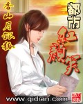 变身曲之都市红颜笑TXT全集封面