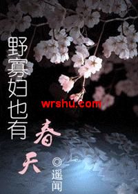 野寡妇也有春天TXT全集封面