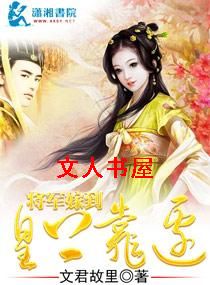 将军嫁到,皇上靠边TXT全集封面