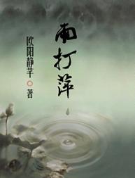 雨打萍TXT全集封面