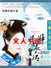 穿越大清后宫:孝淑睿皇后TXT全集封面