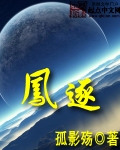 凤逐TXT全集封面