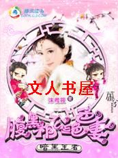 暗黑王者:腹黑相公绝色妻TXT全集封面