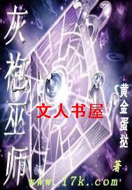 灰袍巫师TXT全集封面