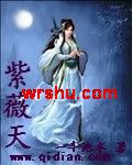 紫薇天TXT全集封面