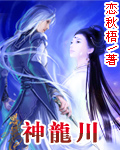神龙川TXT全集封面