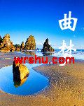 曲梦TXT全集封面