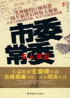 市委常委TXT全集封面