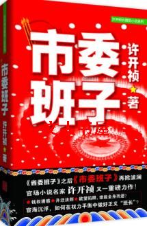 市委班子TXT全集封面