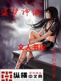 盗梦神偷TXT全集封面