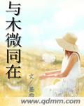 与木微同在TXT全集封面