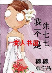 我不是朱七七TXT全集封面