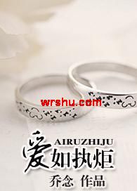 爱如执炬TXT全集封面