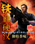 铁血硬汉TXT全集封面