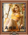 高科技三国TXT全集封面