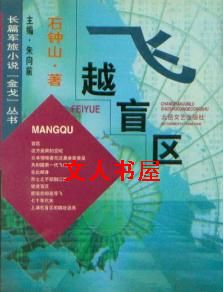 飞越盲区TXT全集封面