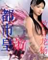 都市皇帝TXT全集封面