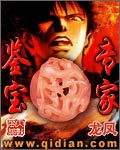 鉴宝专家TXT全集封面