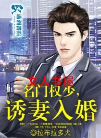 名门权少诱妻入婚TXT全集封面