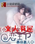 小资剩女恋王爷TXT全集封面