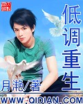 低调重生TXT全集封面