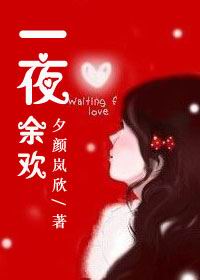 一夜余欢TXT全集封面