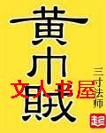 黄巾贼TXT全集封面