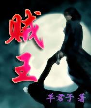贼王TXT全集封面