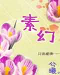 素幻TXT全集封面
