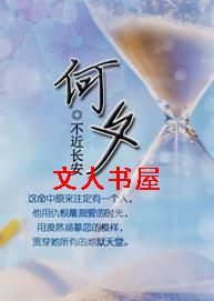 何夕TXT全集封面
