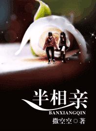 半相亲TXT全集封面