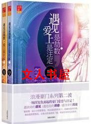 遇见是劫数,爱上是注定TXT全集封面