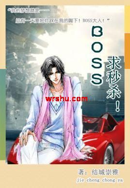 BOSS,求秒杀!TXT全集封面