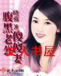 腹黑老公傻傻妻TXT全集封面