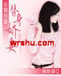 总裁掠爱替身娇妻TXT全集封面