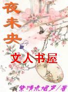 夜未央TXT全集封面