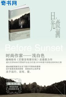日光微澜TXT全集封面