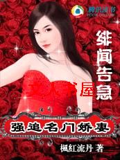 绯闻告急:强追名门娇妻TXT全集封面