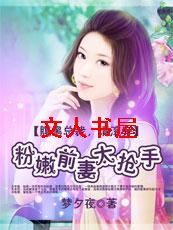 腹黑总裁,请滚开:粉嫩前妻太抢手TXT全集封面
