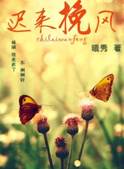 迟来挽风TXT全集封面