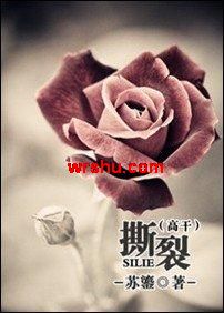 撕裂(高干)TXT全集封面