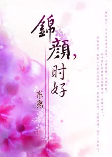 锦颜,时好TXT全集封面