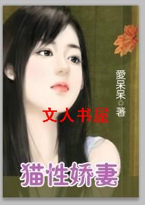 猫性娇妻:丫鬟丈夫TXT全集封面