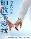 胆敢不爱我TXT全集封面
