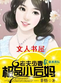 老夫少妻-极品小后妈TXT全集封面