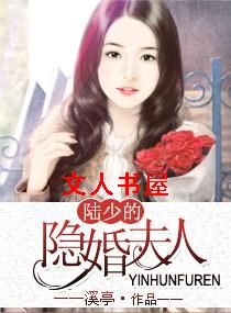 陆少的隐婚夫人TXT全集封面